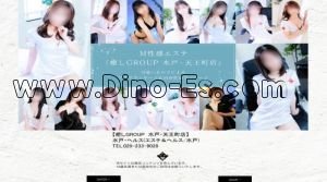 水戸の「癒しGROUP 水戸 天王町店」電話番号:029-233-9028