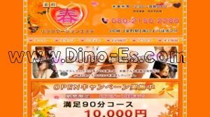 金町駅近くのメンズエステ店舗（春） | DINOエステ（ディノエステ）