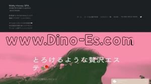 浜松の「Melty Honey SPA～メルティハニースパ～」電話番号：080-9522-0809