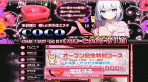 池袋の「COCO八 ～ココハチ～」電話番号：080-8906-8105