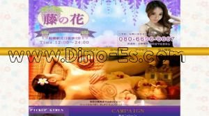 船橋の「藤の花」電話番号：080-6696-6667