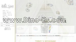 新越谷の「Cat Spa」電話番号：090-5679-1451