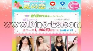 相模原の「夏の恋」電話番号：050-6870-2912