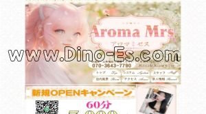 西川口駅近くのメンズエステ店舗（Aroma Mrs アロマミセス） | DINOエステ（ディノエステ）