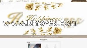 矢場町駅近くのメンズエステ店舗（Happiness～ハピネス） | DINOエステ（ディノエステ）