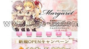 中央林間駅近くのメンズエステ店舗（マーガレット） | DINOエステ（ディノエステ）