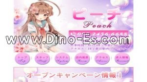宇都宮の「ピーチ」電話番号：090-2456-6688