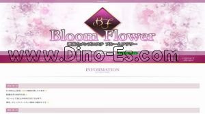 湘南台の「Bloom Flower～ブルームフラワー～」電話番号：080-6110-8207