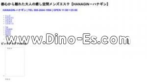 北岡崎駅近くのメンズエステ店舗（HANAGIN～ハナギン～） | DINOエステ（ディノエステ）