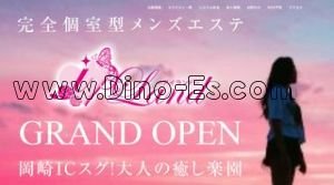 東岡崎駅近くのメンズエステ店舗（i land～アイランド～） | DINOエステ（ディノエステ）
