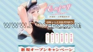 宇都宮駅近くのメンズエステ店舗（Enjoy ～エンジョイ～） | DINOエステ（ディノエステ）