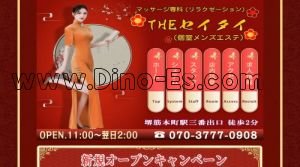 堺筋本町駅近くのメンズエステ店舗（THEセイタイ） | DINOエステ（ディノエステ）