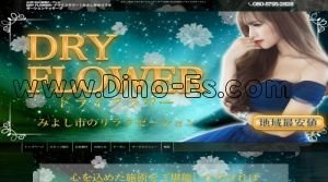 日進(愛知)の「DRY FLOWER～ドライフラワー」電話番号：080-5795-2828