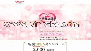 中野(東京)の「小悪魔の誘惑」電話番号：080-7654-7402