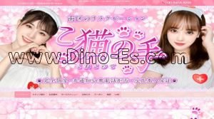 柴田駅(こ猫の手)のホームページや公式サイトです