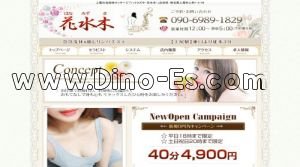 上尾駅近くのメンズエステ店舗（花水木） | DINOエステ（ディノエステ）
