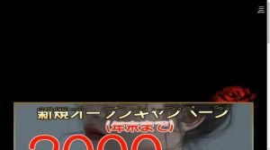 金沢の「ハニーフラッシュ」電話番号：080-2894-7513
