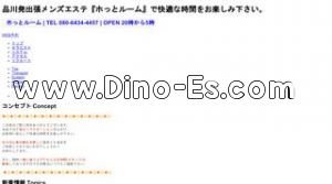 品川駅近くのメンズエステ店舗（ホっとルーム） | DINOエステ（ディノエステ）