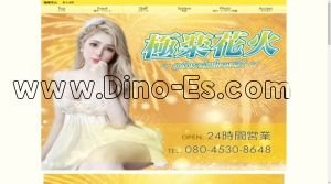 東大垣の「極楽花火」電話番号：080-4530-8648
