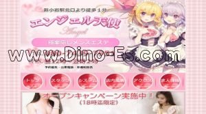 新小岩駅近くのメンズエステ店舗（エンジェル天使） | DINOエステ（ディノエステ）