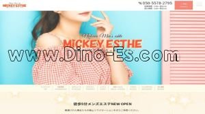 中野駅近くのメンズエステ店舗（MICKEY ESTHE ～ミッキーエステ～） | DINOエステ（ディノエステ）