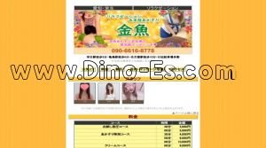 栄生駅近くのメンズエステ店舗（金魚） | DINOエステ（ディノエステ）