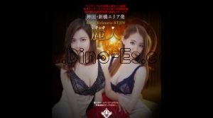 神田(東京)の「麗人」電話番号：080-5950-1888