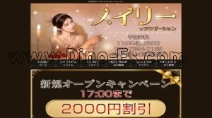 平田町駅近くのメンズエステ店舗（メイリー） | DINOエステ（ディノエステ）