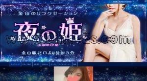金山(愛知)の「夜の姫」電話番号：090-6763-0959
