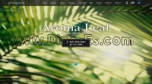 新宿三丁目の「Aroma Leaf アロマリーフ」電話番号：080-7952-3188