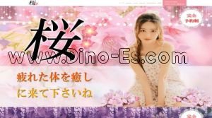 調布の「桜」電話番号：070-3313-2646