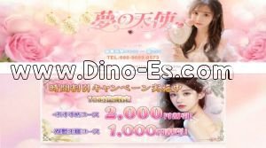 新加納駅近くのメンズエステ店舗（夢の天使） | DINOエステ（ディノエステ）