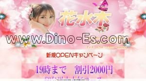 知立駅近くのメンズエステ店舗（花水木） | DINOエステ（ディノエステ）