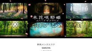 高崎の「SAKUYA～木花咲耶姫～高崎」電話番号：080-4456-9448