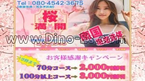 浜松駅近くのメンズエステ店舗（桜満開） | DINOエステ（ディノエステ）
