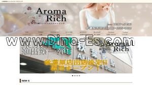 川崎駅近くのメンズエステ店舗（Aroma rich～アロマリッチ～） | DINOエステ（ディノエステ）