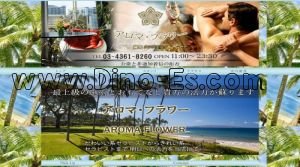 練馬の「アロマフラワー」電話番号：03-4361-8260