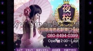 海老名駅近くのメンズエステ店舗（夜桜） | DINOエステ（ディノエステ）