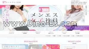 立川駅近くのメンズエステ店舗（メンエス女子社員） | DINOエステ（ディノエステ）