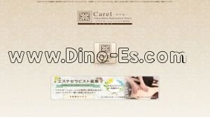 徳島駅近くのメンズエステ店舗（Carel～ケアル ～） | DINOエステ（ディノエステ）