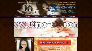 阿佐ヶ谷駅近くのメンズエステ店舗（椿） | DINOエステ（ディノエステ）