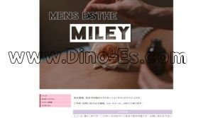 宮の陣駅近くのメンズエステ店舗（MILEY～マイリー～） | DINOエステ（ディノエステ）