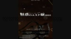 新宿の「魅惑のエステ嬢」電話番号：070-8904-8494