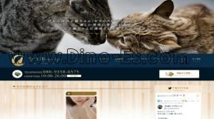 蓮田駅近くのメンズエステ店舗（ラブキャット） | DINOエステ（ディノエステ）