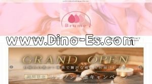 伏見駅近くのメンズエステ店舗（Brume～ブルーム） | DINOエステ（ディノエステ）