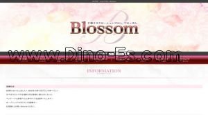 千葉の「Blossom～ブロッサム～」電話番号：080-9805-1163