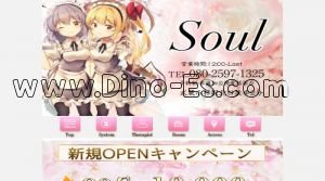 武蔵小杉駅近くのメンズエステ店舗（Soul） | DINOエステ（ディノエステ）