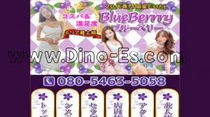 西大橋の「ブルーベリー」電話番号：080-5463-5058