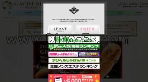 日本橋(大阪)の「GACHI SPA WORLD～ガチスパワールド～」電話番号：06-6226-7160