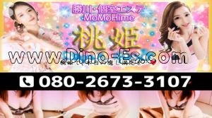 勝川駅近くのメンズエステ店舗（桃姫） | DINOエステ（ディノエステ）